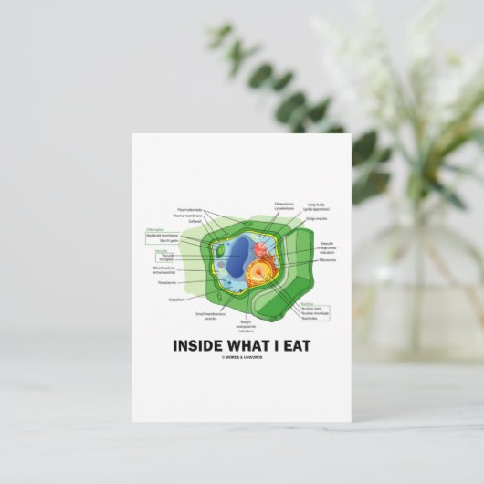 In wat ik eet (Plant Cell Vegetarian Humor) Briefkaart (Staand voorkant)
