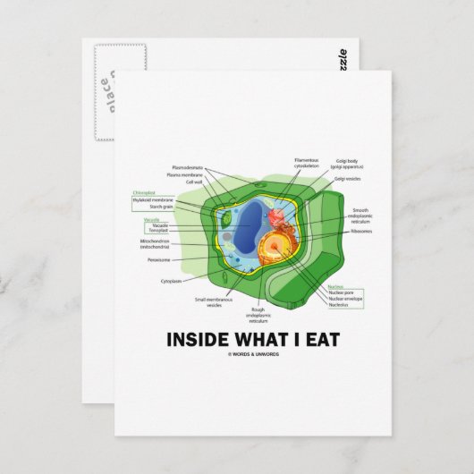 In wat ik eet (Plant Cell Vegetarian Humor) Briefkaart (Voorkant / Achterkant)