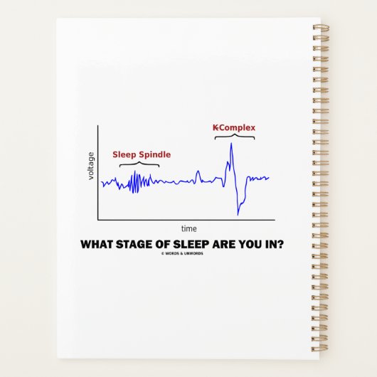 In welk stadium van de slaap ben je? planner (Achterkant)