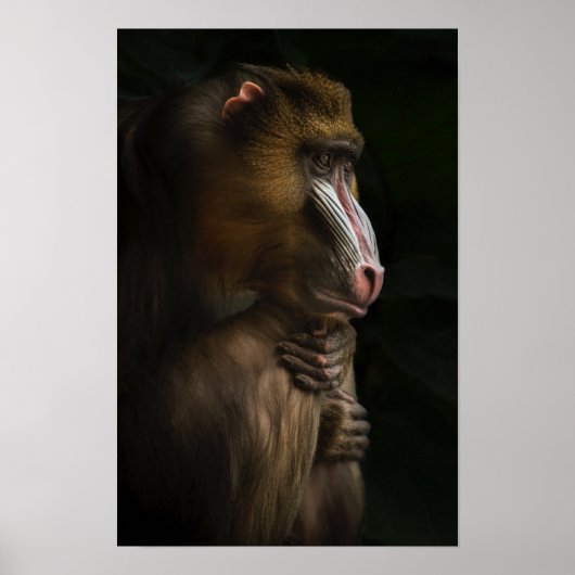 In zijn denkbeelden poster (Voorkant)