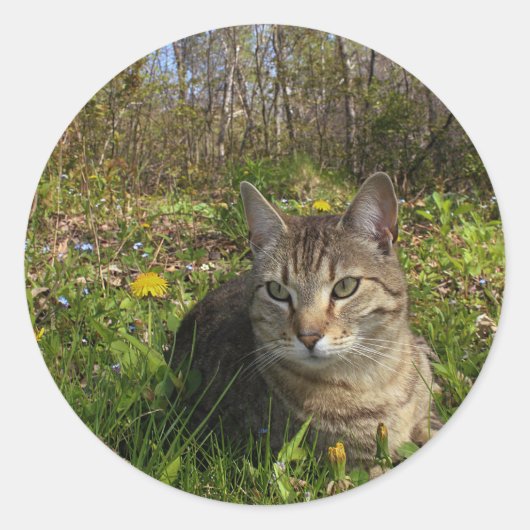 In Zijn Streek van het Comfort Ronde Sticker (Voorkant)