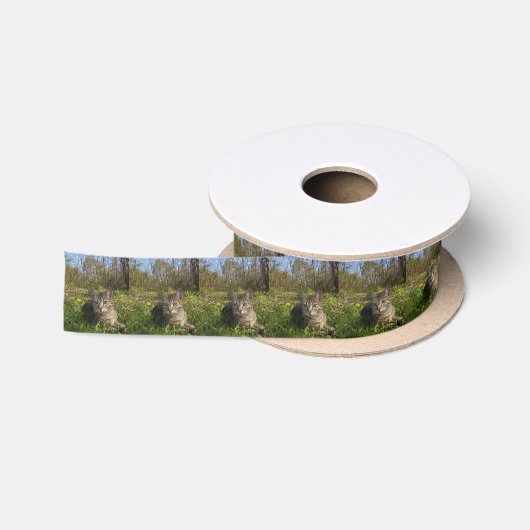 In Zijn Streek van het Comfort Satijnen Lint (Spoel)