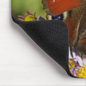 Inachis io muismat (Hoek)