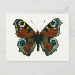 Inachis io - The European Peacock Butterfly Briefkaart