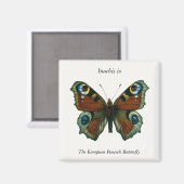Inachis io - The European Peacock Butterfly Magneet (Voorkant / Achterkant)