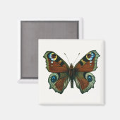 Inachis io - The European Peacock Butterfly Magneet (Voorkant / Achterkant)