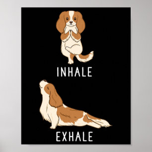 Inademen Uitademen Cavalier King Charles Spaniel G Poster