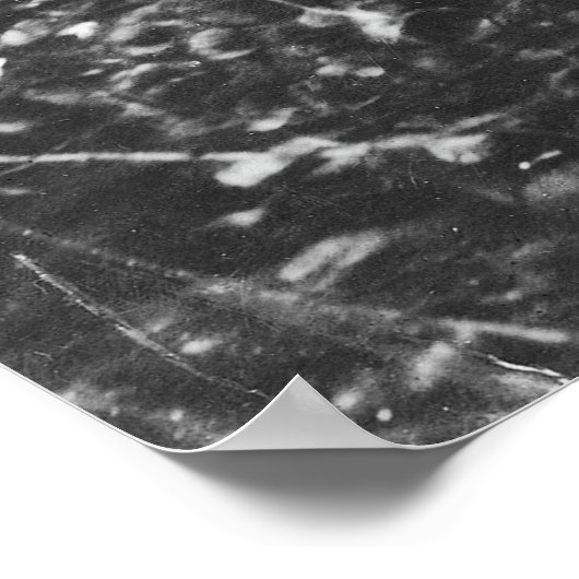 Inauguratie van Abraham Lincoln March 4, 1861 Poster (Hoek)