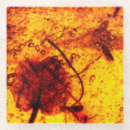 Inbegrepen oudere amber glazen onderzetter