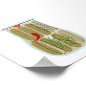 Inblikken van voedsel - Dill Pickles Poster (Hoek)