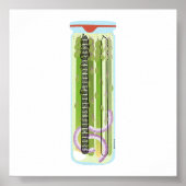 Inblikken van voedsel - geplukte asperges poster (Voorkant)