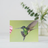 Inca Hummingbird in Flight Pose Briefkaart (Staand voorkant)