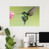 Inca Hummingbird in Flight Pose Poster (Thuiskantoor)