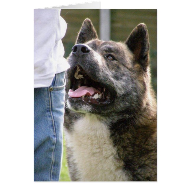 Inca kijkt omhoog (Voorkant)