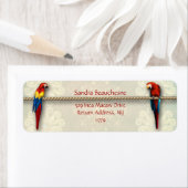 Inca Macaws - Crème Kant Etiket (Insitu)