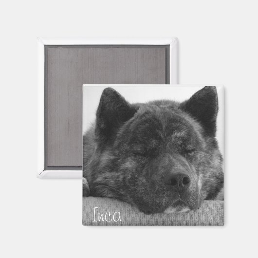 Inca Magneet (Voorkant / Achterkant)