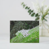 Inca Trail Machu Picchu Peru - Reisfotografie Briefkaart (Staand voorkant)