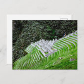 Inca Trail Machu Picchu Peru - Reisfotografie Briefkaart (Voorkant / Achterkant)