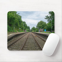 Ince and Elton Railway Station Muismat