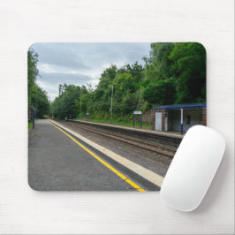 Ince and Elton Railway Station Muismat