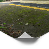 Ince and Elton Railway Station Poster (Hoek)