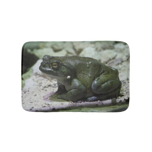 Incilius alvarius badmat (Voorkant)
