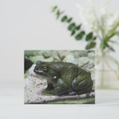 Incilius alvarius briefkaart (Staand voorkant)