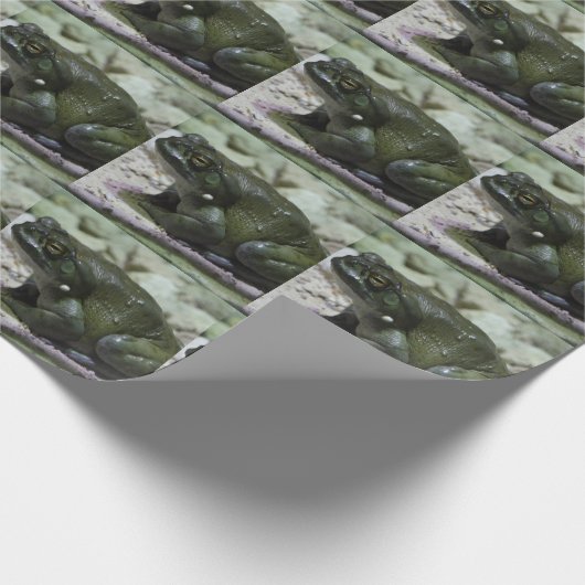 Incilius alvarius cadeaupapier (Hoek)