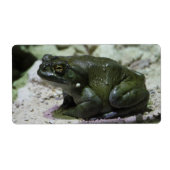 Incilius alvarius etiket (Voorkant)