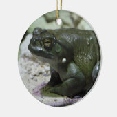 Incilius alvarius keramisch ornament (Links)