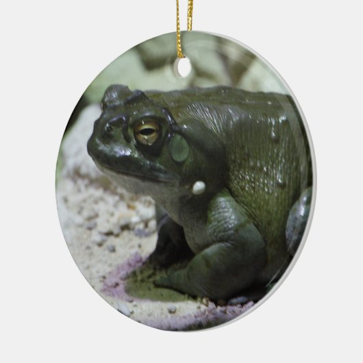 Incilius alvarius keramisch ornament (Links)