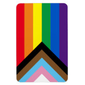 Inclusief vlag voor homodiversiteit bij regenboogb magneet (Verticaal)