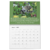 inclusief Wicca 2020-kalender Kalender (Mar 2027)
