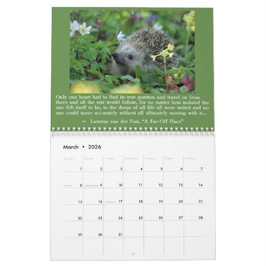 inclusief Wicca 2020-kalender Kalender (Mar 2026)