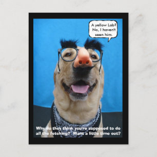 Incognito Briefkaart