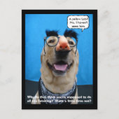 Incognito Briefkaart (Voorkant)