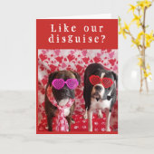 **INCOGNITO & VERLEGEN** WILL JE ONZE VALENTIJN ZI KAART (Gele Bloem)