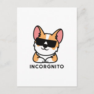 Incorgnito Briefkaart