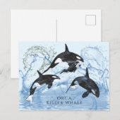 Incredible Black and White Watercolor Orcas Briefkaart (Voorkant / Achterkant)