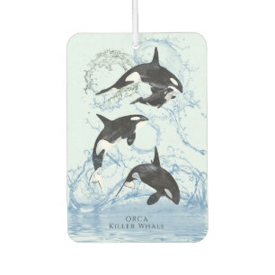 Incredible Black and White Watercolor Orcas Luchtverfrisser