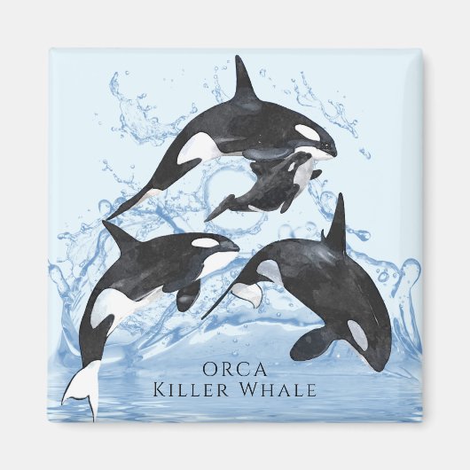 Incredible Black and White Watercolor Orcas Magneet (Voorkant)
