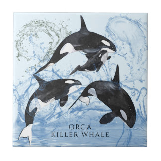 Incredible Black and White Watercolor Orcas Tegeltje