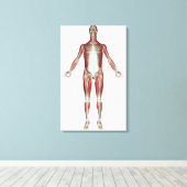 Indeling van alle spieren in het menselijk lichaam canvas afdruk (Insitu (Houten vloer))