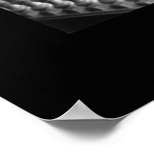 Independence Hall Poster (Hoek)