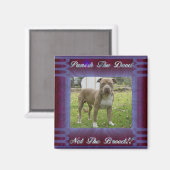 inderdaad geen vierkante magneet fokken (Voorkant / Achterkant)