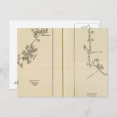 Index-kaart Albany, Saratoga Springs Briefkaart (Voorkant / Achterkant)