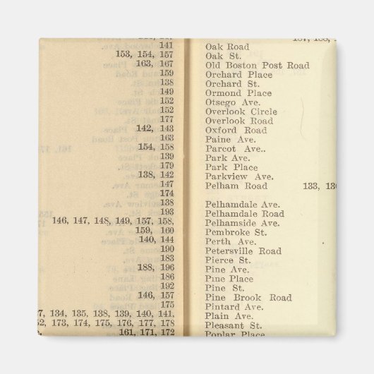Index nieuwe rochelle magneet (Voorkant)