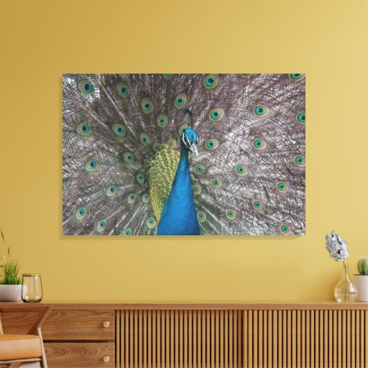India Blauw Peacock Triptiek Canvas (Insitu (Woonkamer))