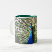 India Blue Peacock Tweekleurige Koffiemok (Voorkant links)