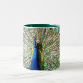 India Blue Peacock Tweekleurige Koffiemok (Center)